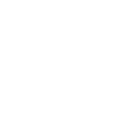 Angel's Project